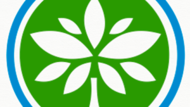 The Best UAE-Based Grantmakers Supporting Nonprofits Globally