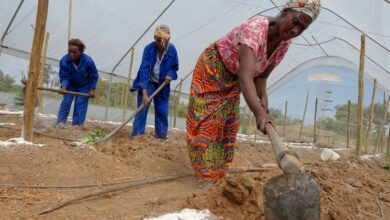 Work to make the world a better place: 5 things you need to know about ‘green jobs’
