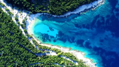 Our Story | Trane Technologies