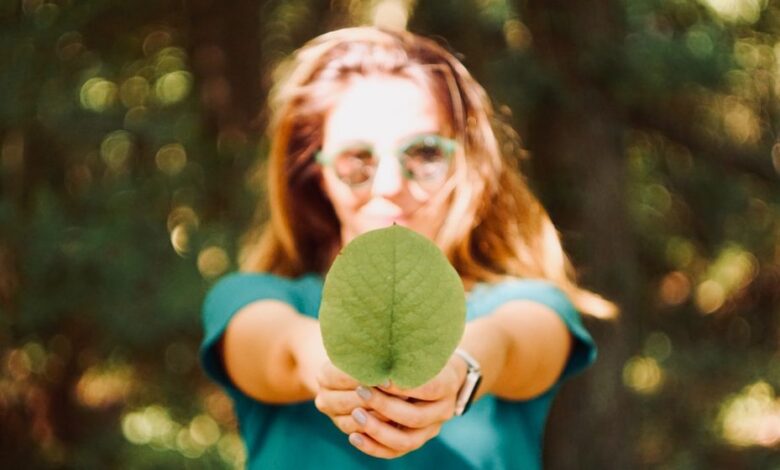 Looking for Ways to Support Environmental Charities? Here’s How to Raise Money