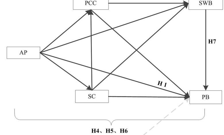 The influence of academic pressure on adolescents’ problem behavior: Chain mediating effects of self-control, parent–child conflict, and subjective well-being