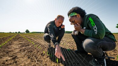MSU launches most ambitious comprehensive fundraising campaign to date | MSUToday