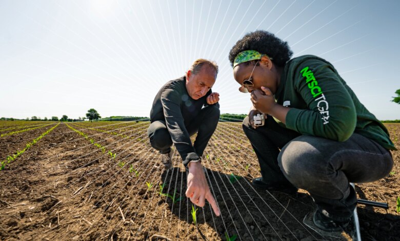 MSU launches most ambitious comprehensive fundraising campaign to date | MSUToday