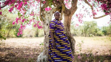 Everywhere basic income has been tried, in one map: Kenya; Iran; Alaska; Stockton, California; and more