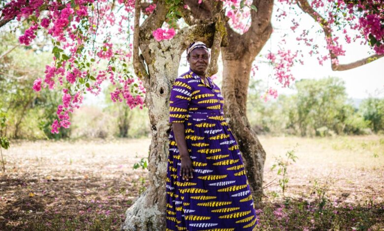 Everywhere basic income has been tried, in one map: Kenya; Iran; Alaska; Stockton, California; and more