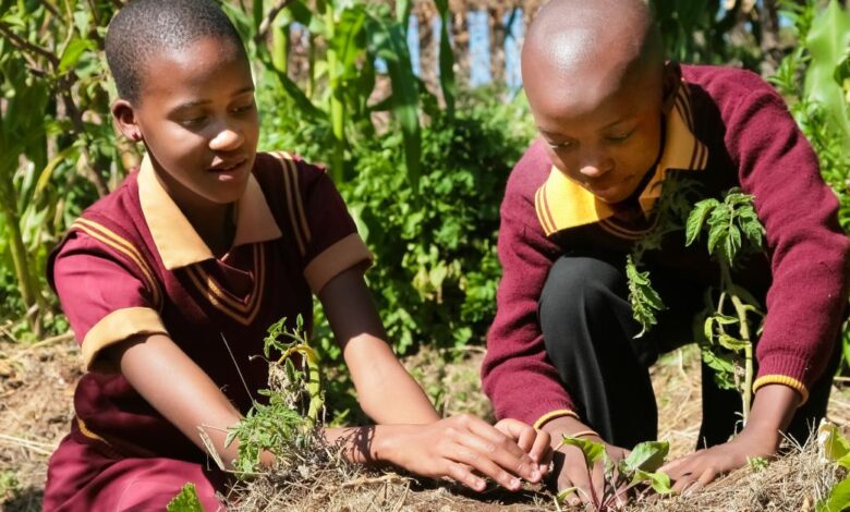 Education for sustainable development | UNESCO Education for sustainable development | UNESCO