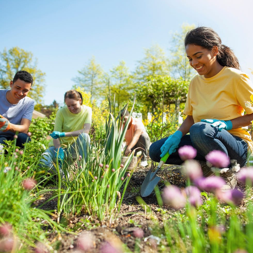 group of people gardening