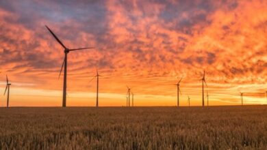 Your Future as an ESG Pioneer
