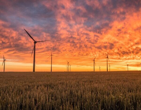 Your Future as an ESG Pioneer