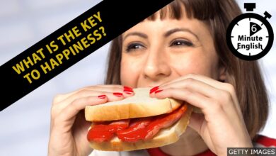 BBC Learning English – 6 Minute English / What’s the key to happiness?
