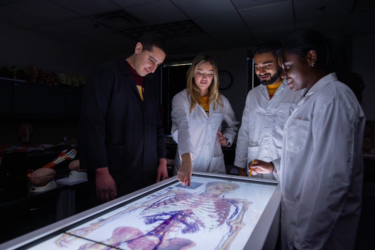 Students using an anatomage table