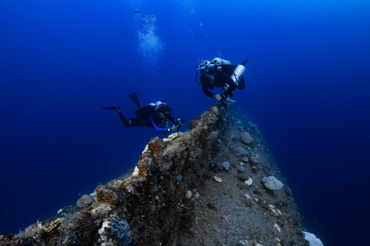 Two people scuba diving in the ocean