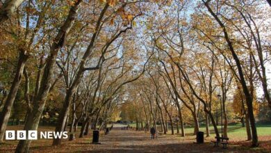 Outdoor learning ‘boosts children’s development’