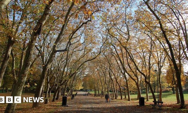 Outdoor learning ‘boosts children’s development’ Outdoor learning ‘boosts children’s development’