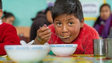 The Effects of Child Nutrition on Academic Performance: How School Meals Can Break the Cycle of Poverty