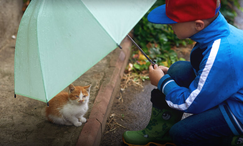 KINDNESS WEEK – November 10-16, 2025