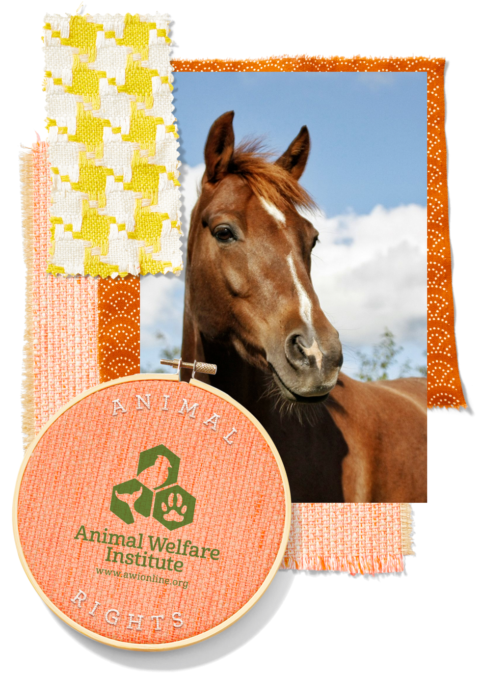 animal welfare institute