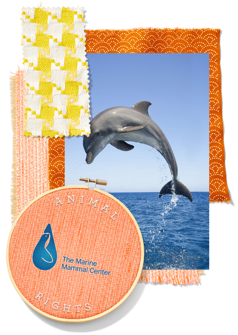 marine mammal center