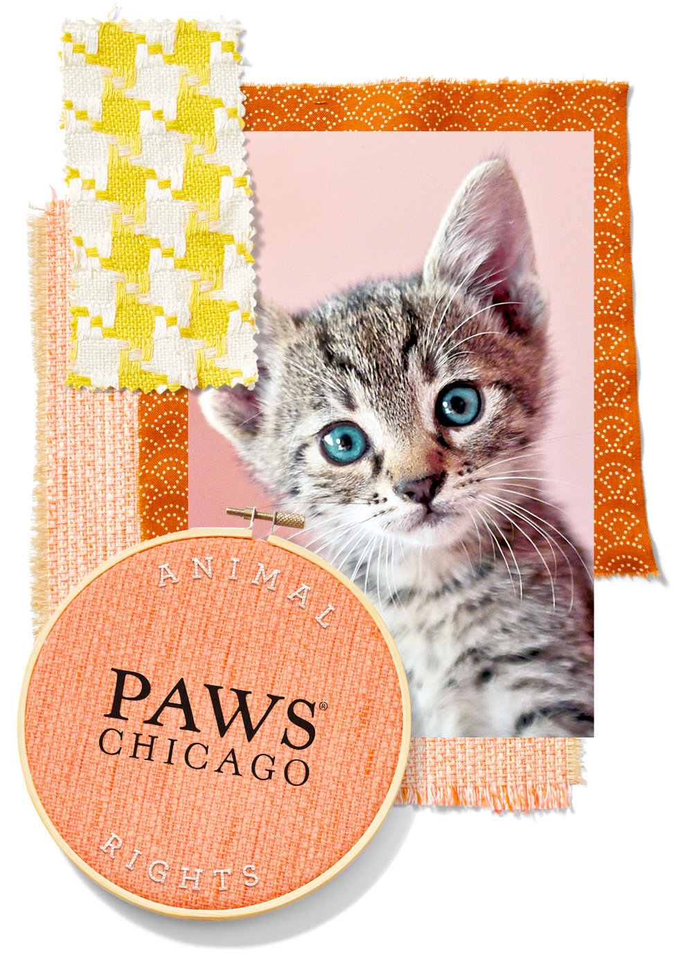 paws chicago