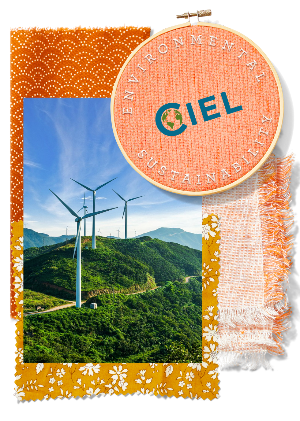 center for international environmental law