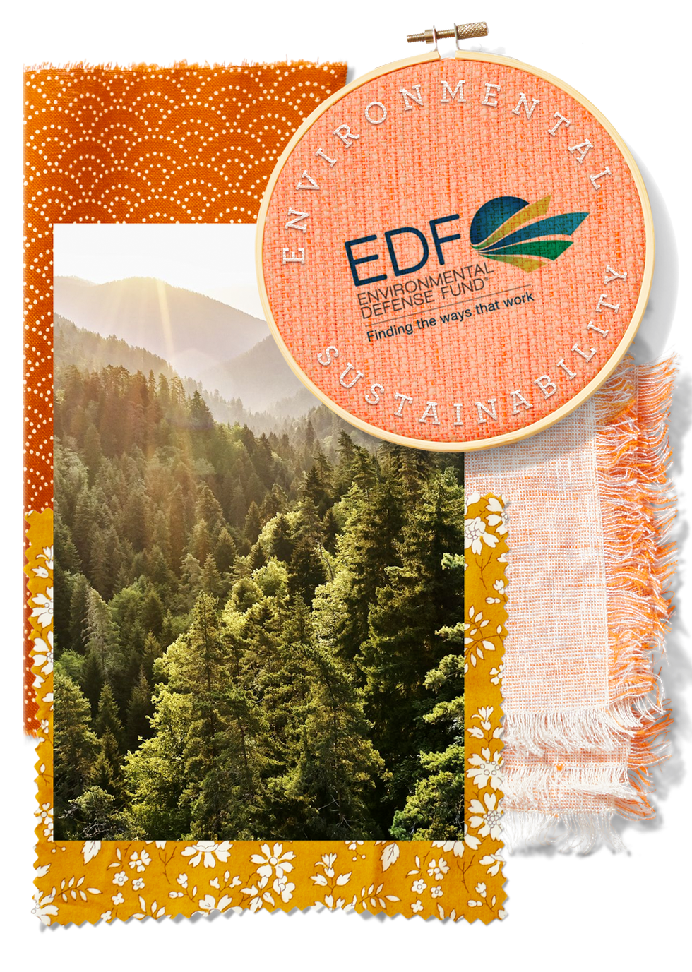 environmental defense fund