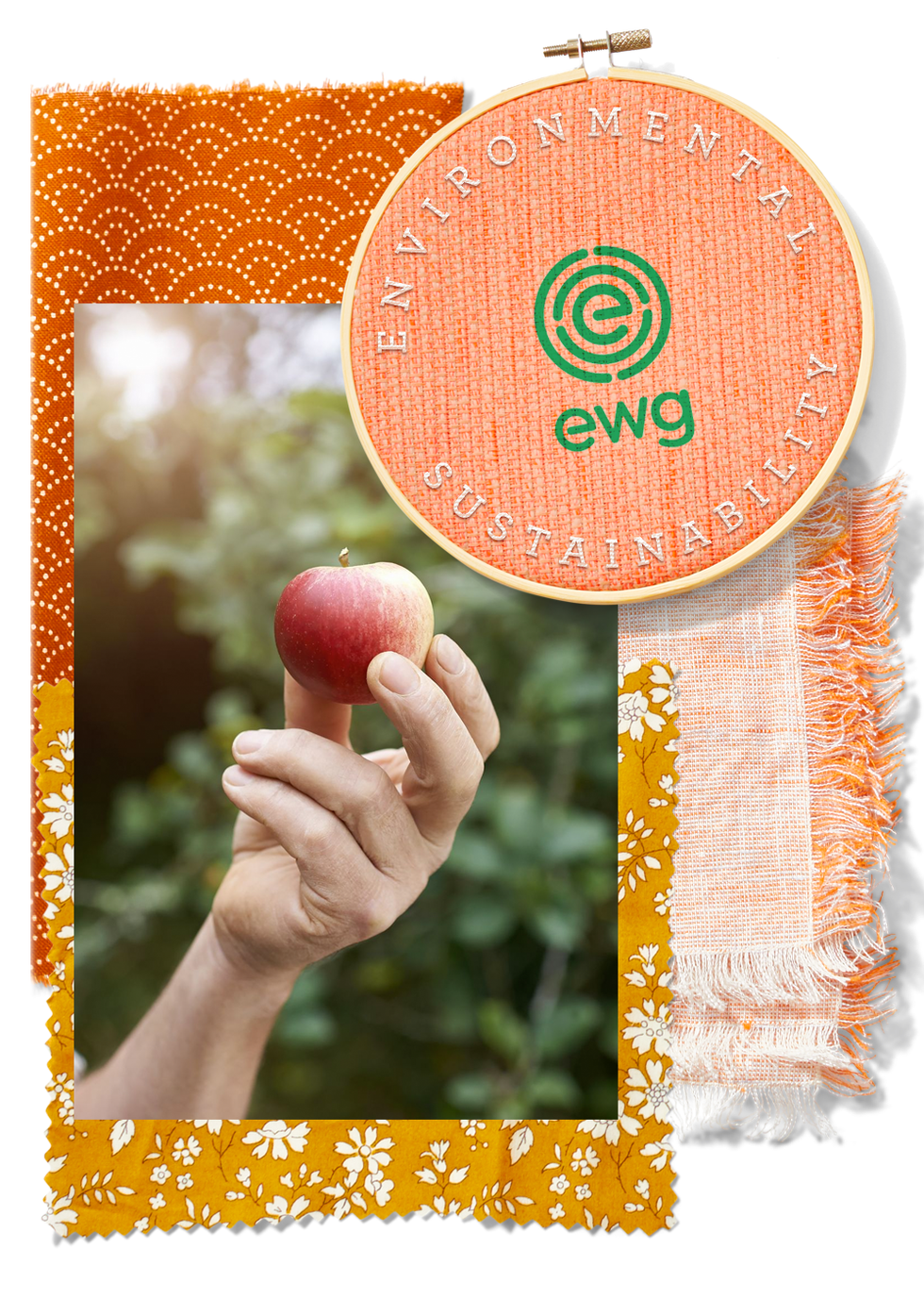 environmental working group